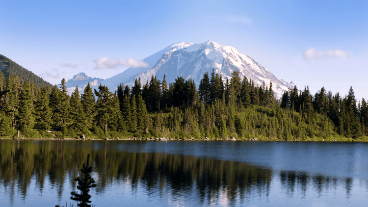our collection of products made in Washington featuring an image of mt. rainier