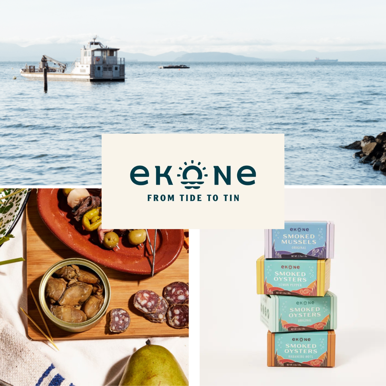 Ekone brand packaging with ocean view and food items. located in bay center, WA.