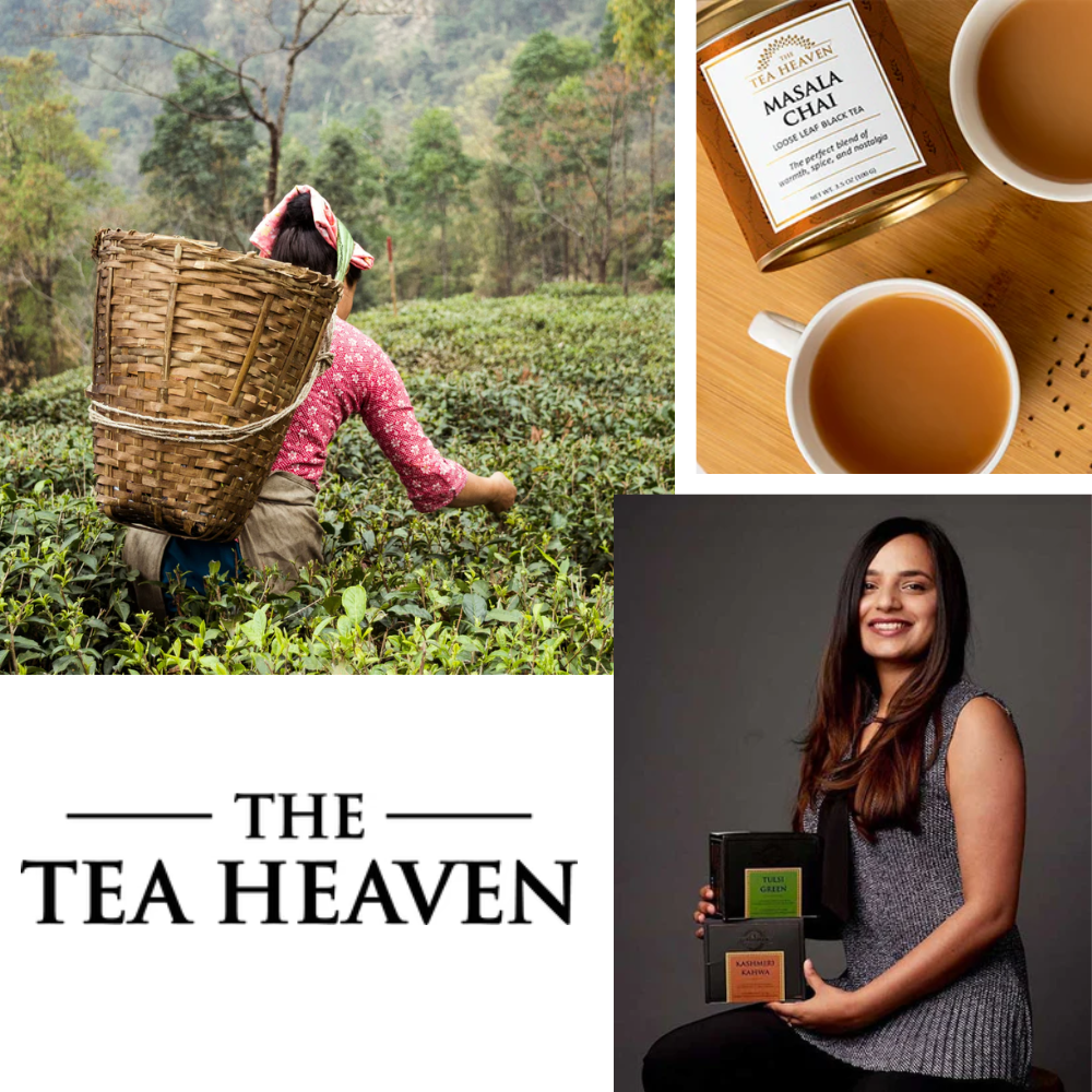 Tea Heaven Seattle tea company featuring founder Harshada Bansal, tea farm harvesting, premium loose leaf tea, and artisan tea blends.